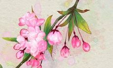 2022年12月26日五行穿衣分享 最佳幸运色查询