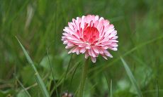 如何看待店铺的风水财位 店铺的财位在哪里