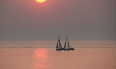 为什么吊兰对风水不好 吊兰摆放的风水宜忌