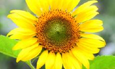 什么样的风水能帮你挽回婚姻