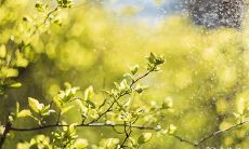 91年7月5日是什么命 农历五月二十四出生命运