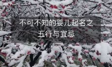 不可不知的婴儿起名之五行与宜忌