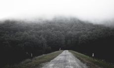 2023年是属兔吗 十二生肖起源是什么