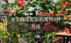 关于商店起名的常用4种方法