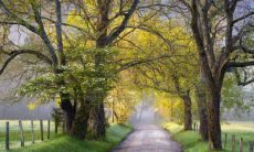 023年的骨重对照表是怎样的 2023不同月份骨重对照表