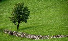 女生增旺桃花运的方法