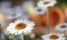 91年7月3日是什么命 农历五月二十二出生命运