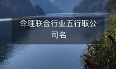 命理联合行业五行取公司名