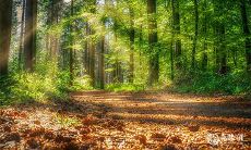 92年6月28日是什么命 农历五月二十八出生命运