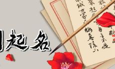 三个字简洁的公司名称 好听方便记忆的名称