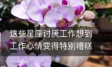 这些星座讨厌工作想到工作心情变得特别糟糕