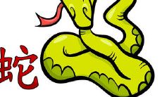 生肖蛇命中的情人会是什么生肖