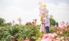 91年属羊女和属蛇男相配吗 羊和蛇在一起谁带财