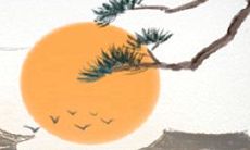 情人节送玫瑰花代表什么意思