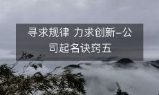 寻求规律 力求创新-公司起名诀窍五