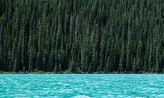 92年6月27日是什么命 农历五月二十七出生命运