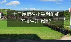 十二属相在小暑期间如何摄生旺运呢?