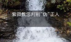 紫微教您判别“伪”正人