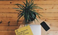 富贵竹1一9的含义 风水摆放禁忌