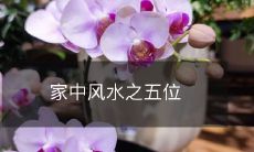 家中风水之五位