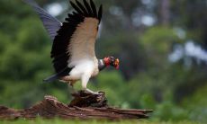 普通人在实践中容易犯的风水错误