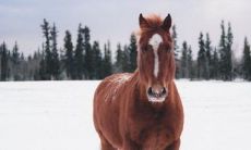 关公像拿刀姿势哪个是招财的 如何摆放