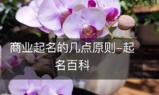 商业起名的几点原则-起名百科