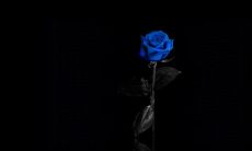 伍兴强姓名评分65分