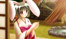 贾得雄姓名评分87分