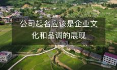 公司起名应该是企业文化和品调的展现