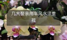 几大娶亲用车风水须重视