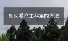 如何看命主科第的方法