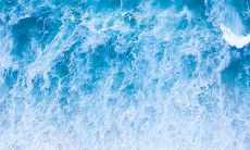 癸亥年生大海水命 癸亥年的人性格如何