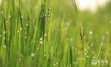 二婚命的3大生肖女 贵人命很强的生肖女