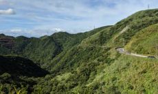 什么属相适合摆金蟾 什么生肖不能放金蟾