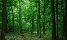 看看八字五行与面相之间的关联