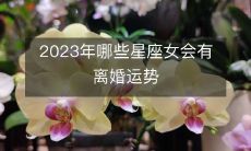 2023年哪些星座女会有离婚运势