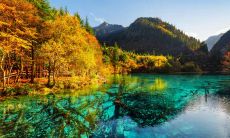 太阳双鱼座月亮白羊座性格怎么样