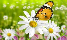 非常大胆经常喜欢做夸张动作的星座女