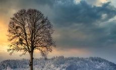 庚寅年 庚寅年是什么命