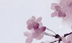 2023年3月21日出生的女孩命好吗，男孩八字命格