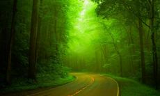 适合用在家居招财的摆件有哪些