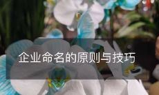 企业命名的原则与技巧
