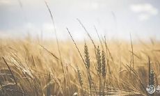 92年6月19日是什么命 农历五月十九出生命运