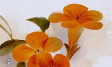 生辰八字解析：2023年3月26日出生的宝宝是什么命，五行缺什么