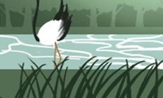 测你婚后的幸福会持续多久?