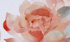 八字解析：2023年3月25日出生的宝宝是什么命，五行缺什么