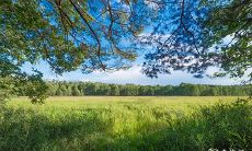 92年6月20日是什么命 农历五月二十出生命运