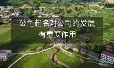 公司起名对公司的发展有重要作用
