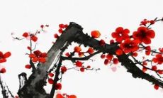 2022年小雪节气那天办喜事好吗 宜婚嫁吗